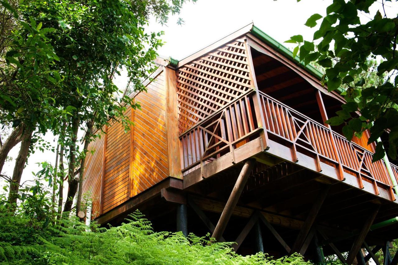 Arendsrus Country Resort Molen Drift Extérieur photo
